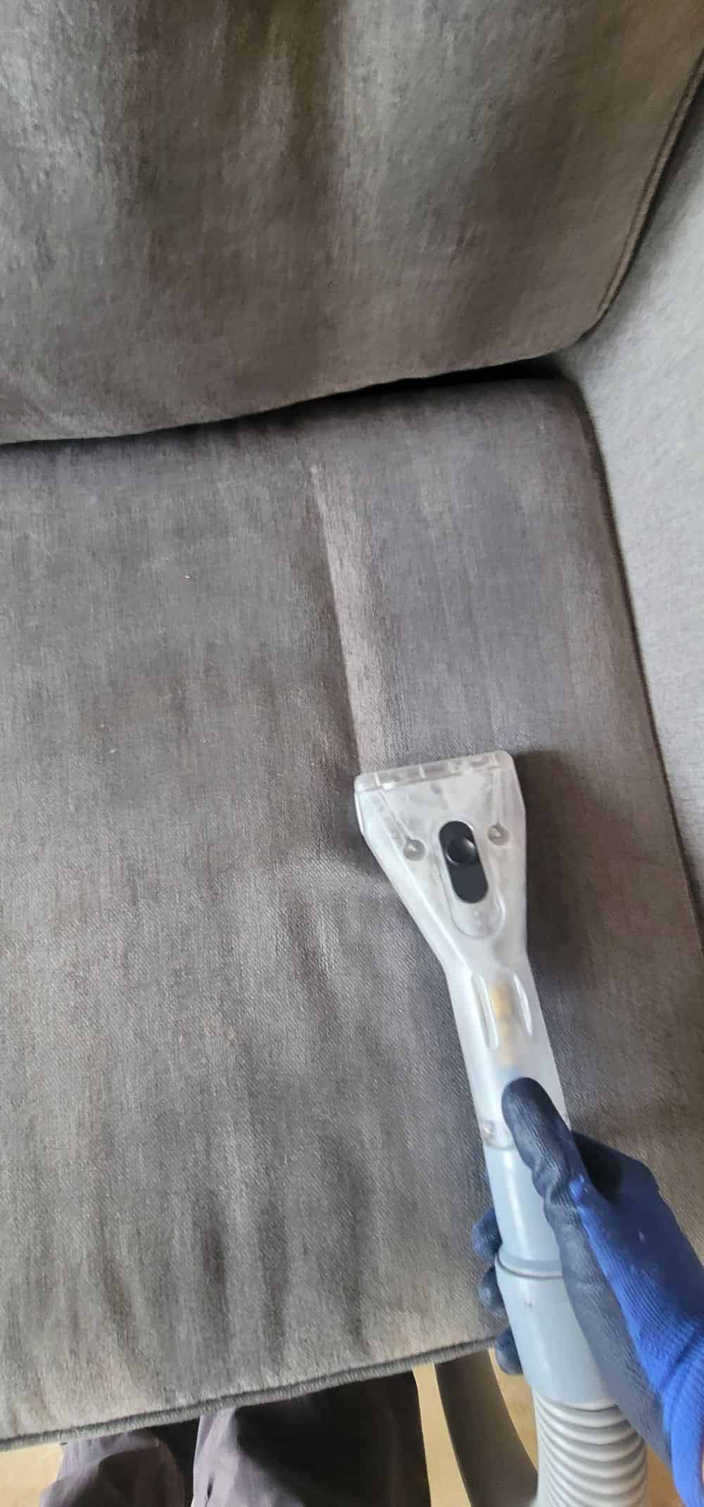Pet Stain & Odor Removal image