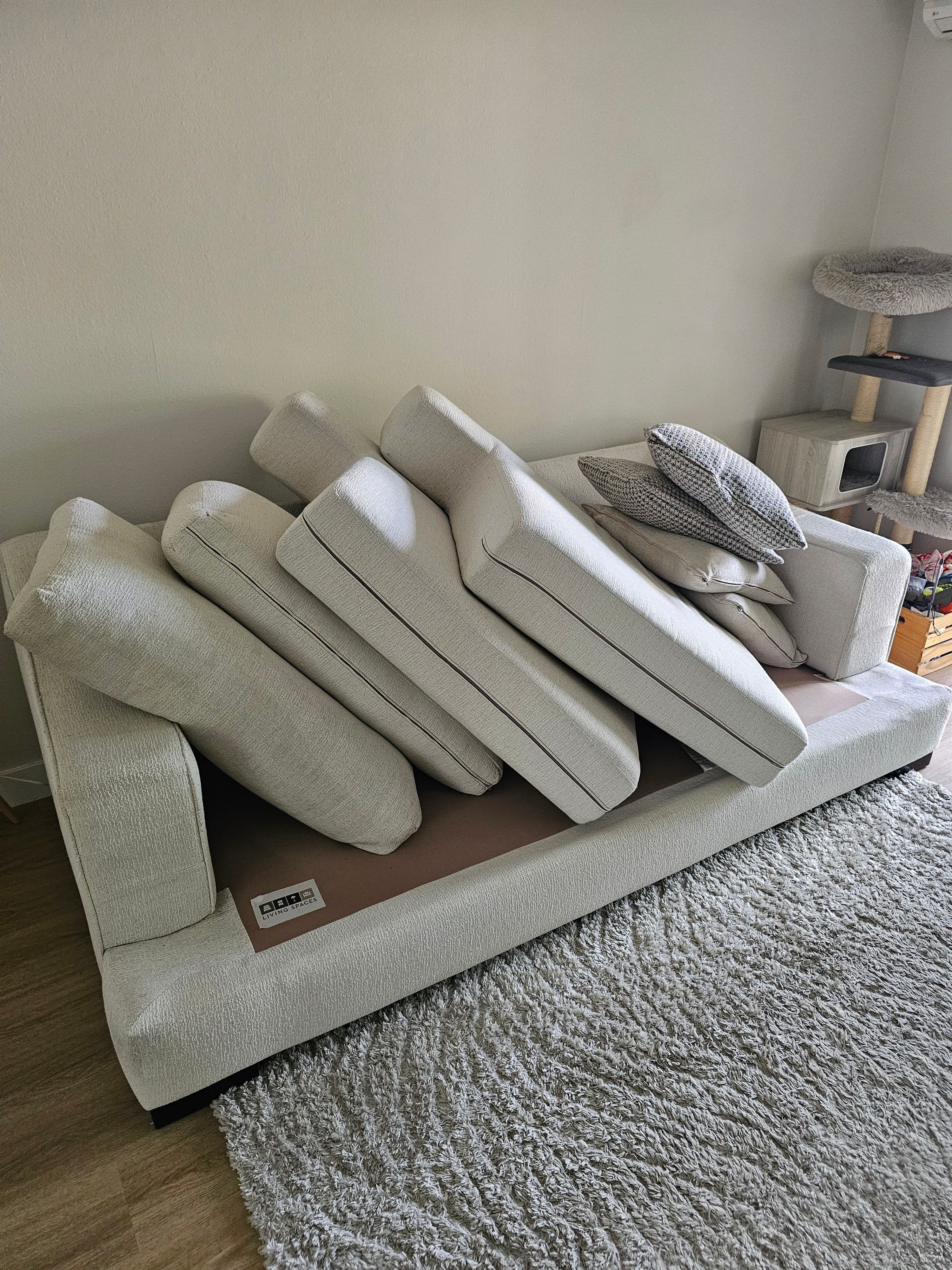 Project Sofa Cleaning Service in Sunnyvale CA image