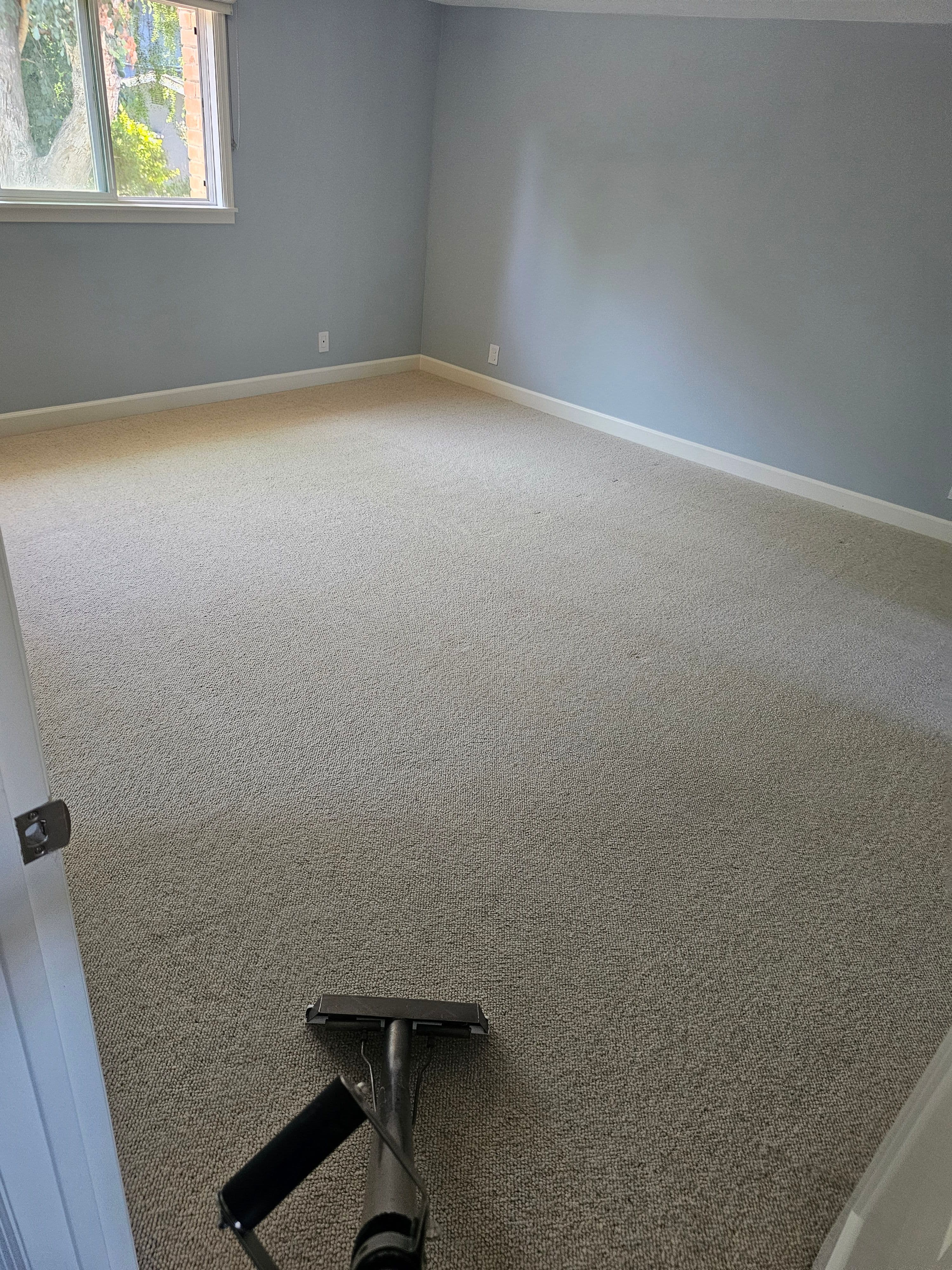 Project Wool Carpet Cleaning Done Right in Menlo Park image