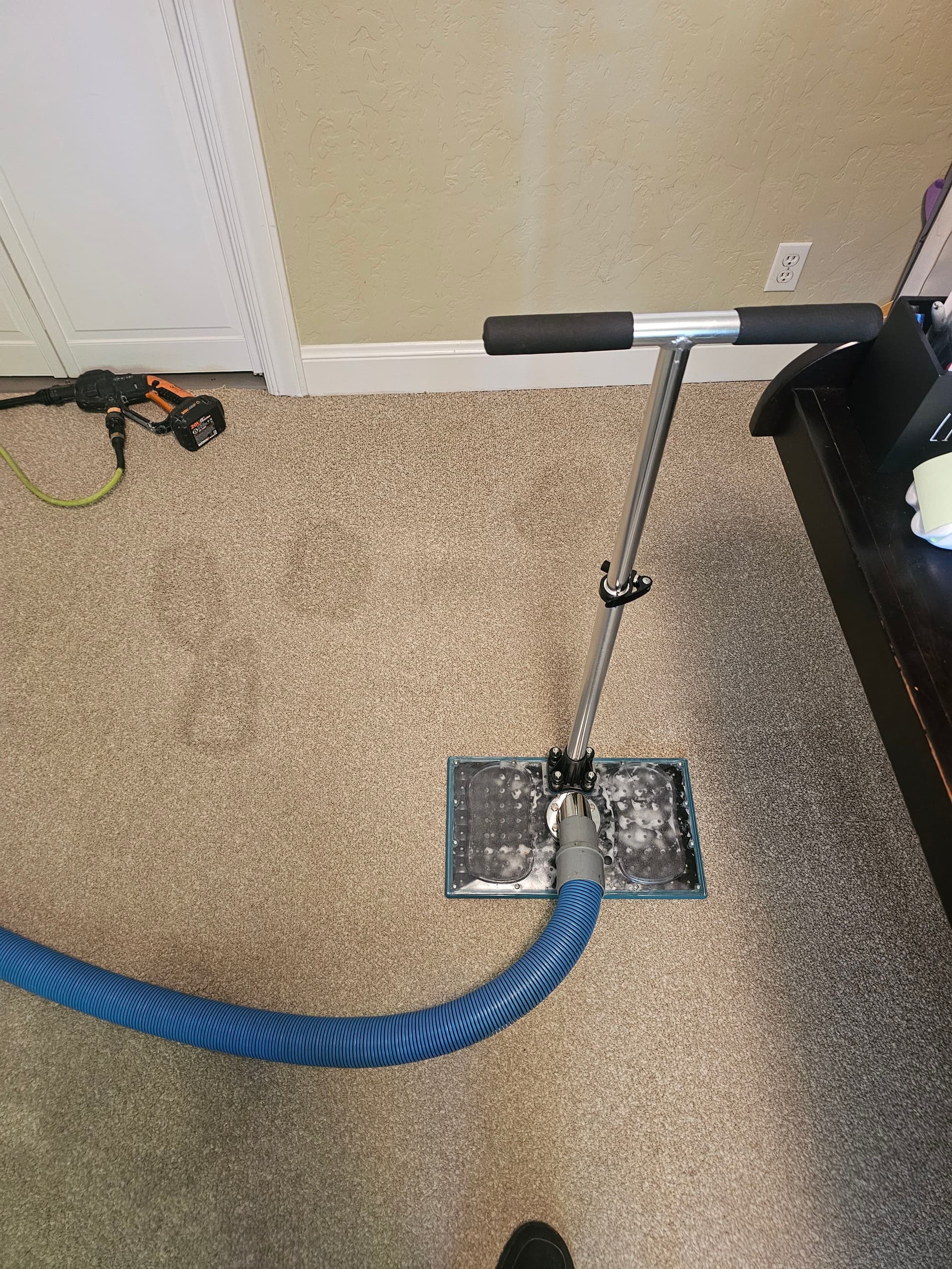 Cat Urine Odor Removal Done Right in Redwood City image