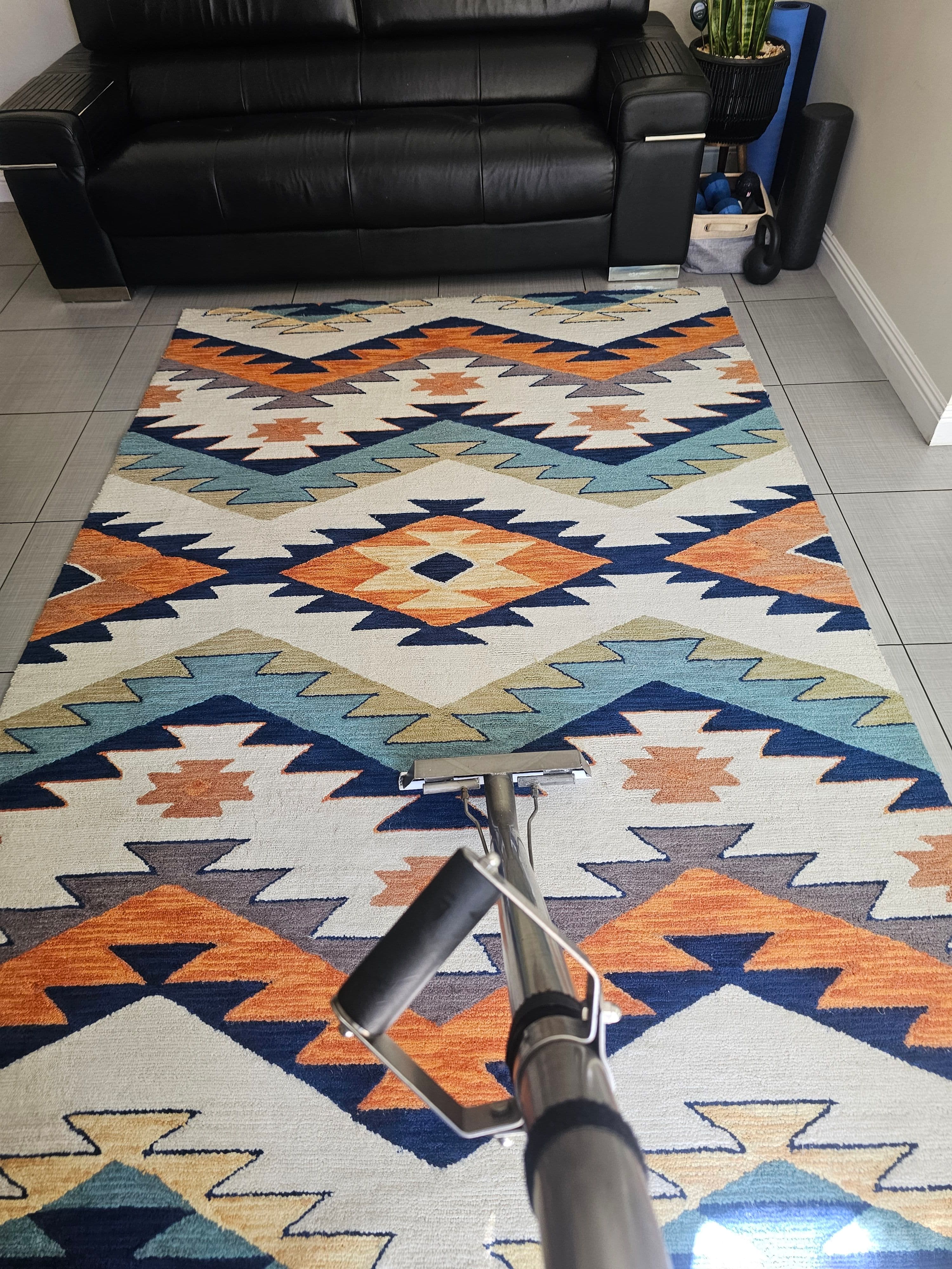 Project Area Rug Cleaning for Sunnyvale Homeowners image