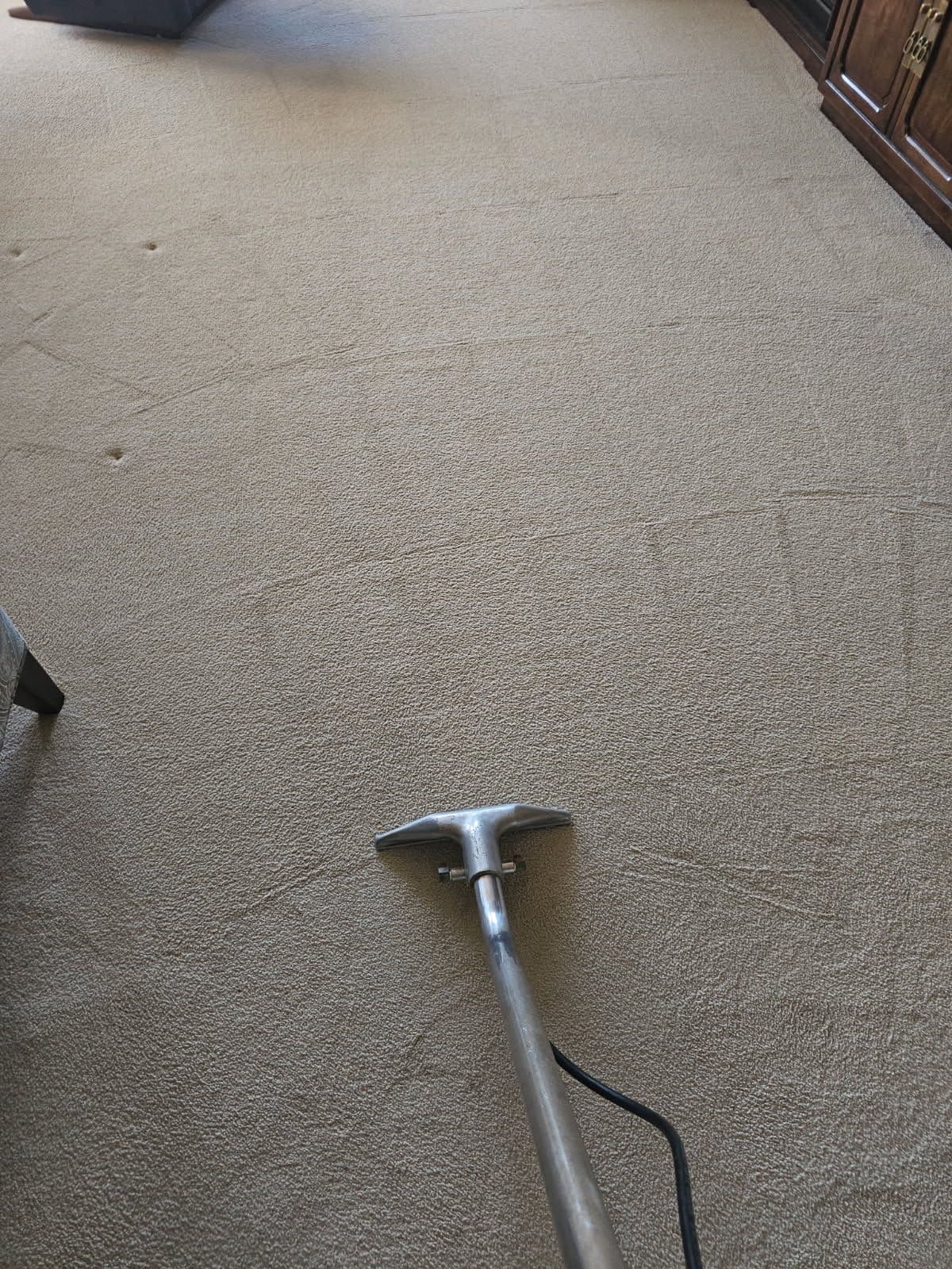Project Fresh Carpets in Cupertino with Our Steam Cleaner image