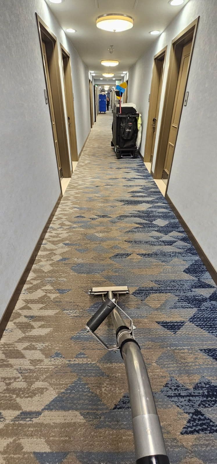 Hotel Carpet Clean-Up in Campbell CA image