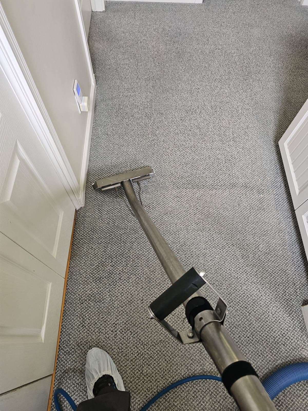 Project Revitalize Your Home with Professional Carpet Cleaning image