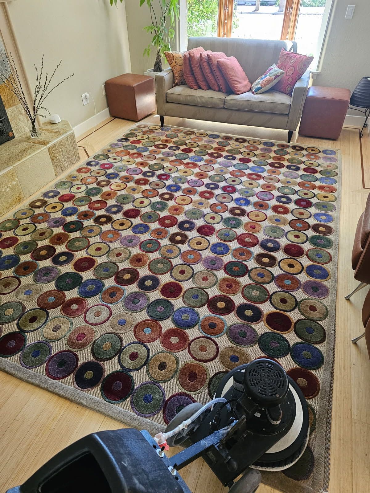 Project Transform Your Space with Carpet Cleaning Heroes image