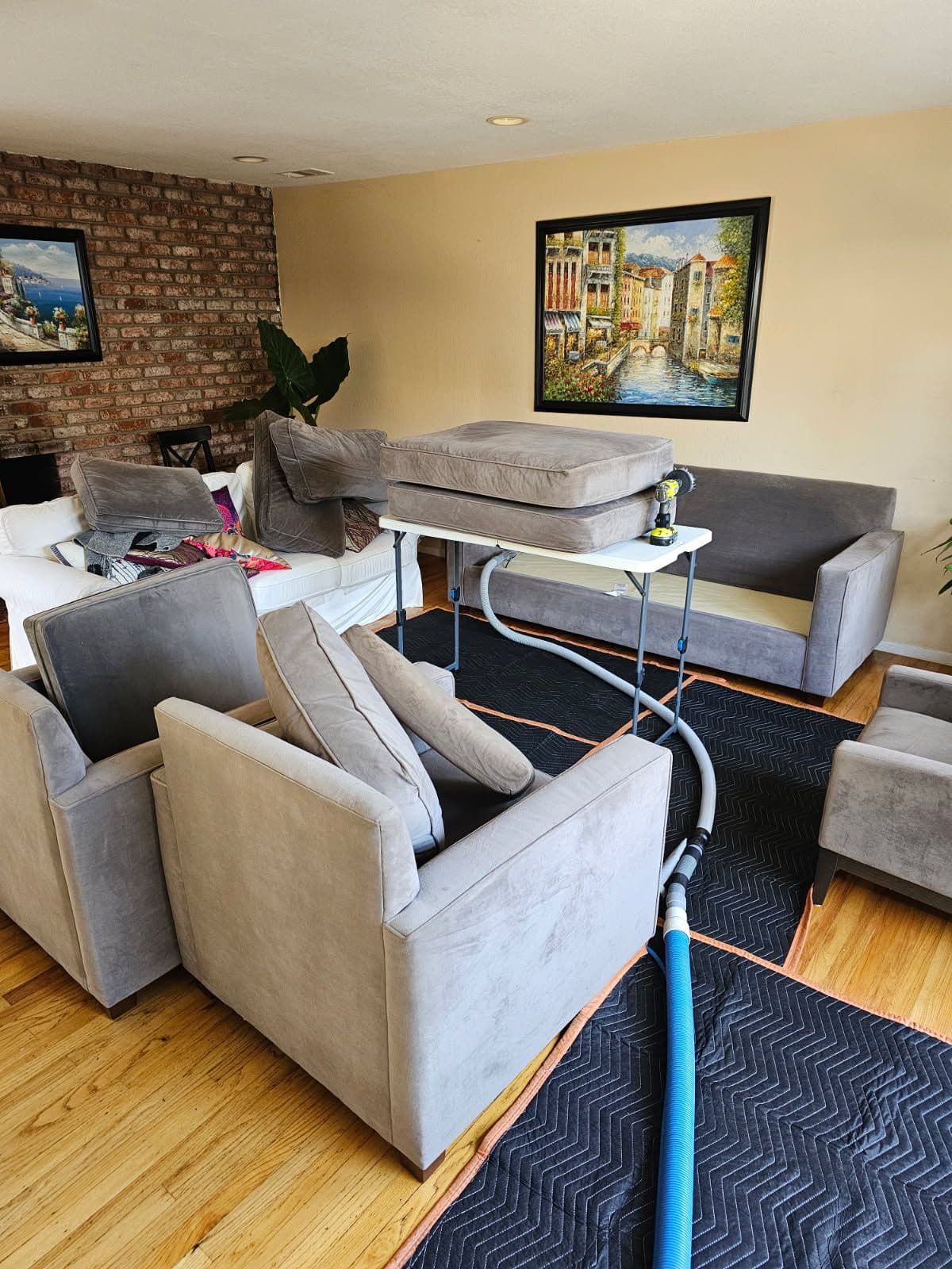 Expert Upholstery Cleaning in Mount View