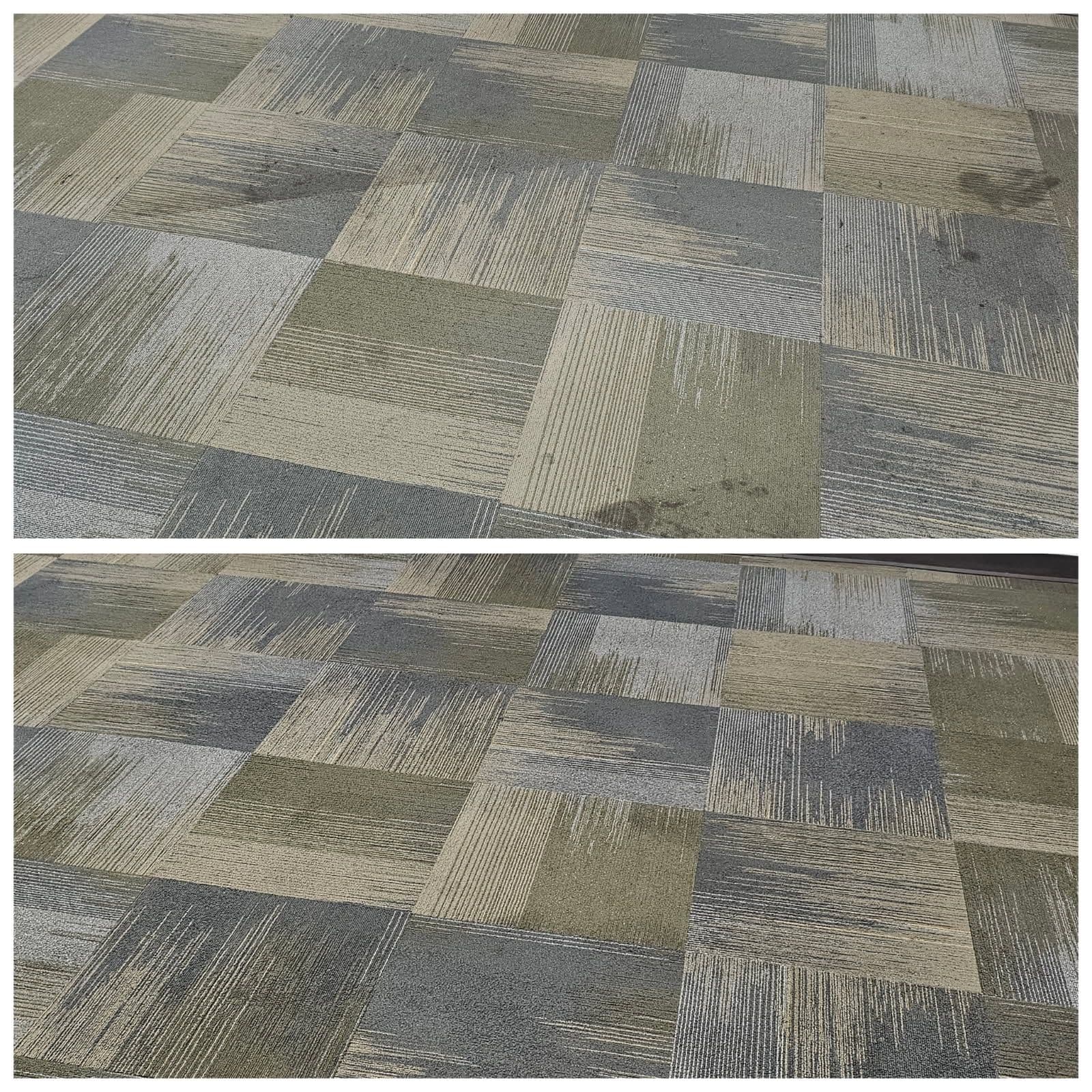 Revitalize Your Space with Expert Carpet Cleaning image