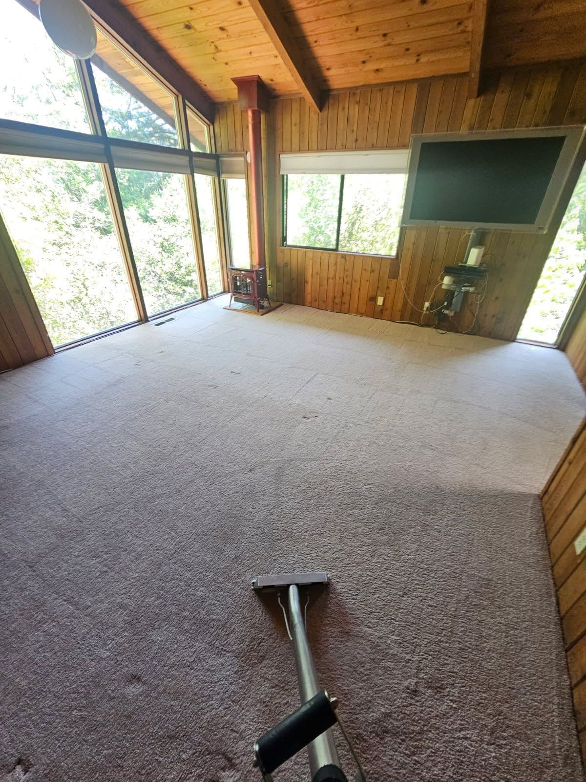 Expert Carpet Cleaning Transformation in Los Gatos image