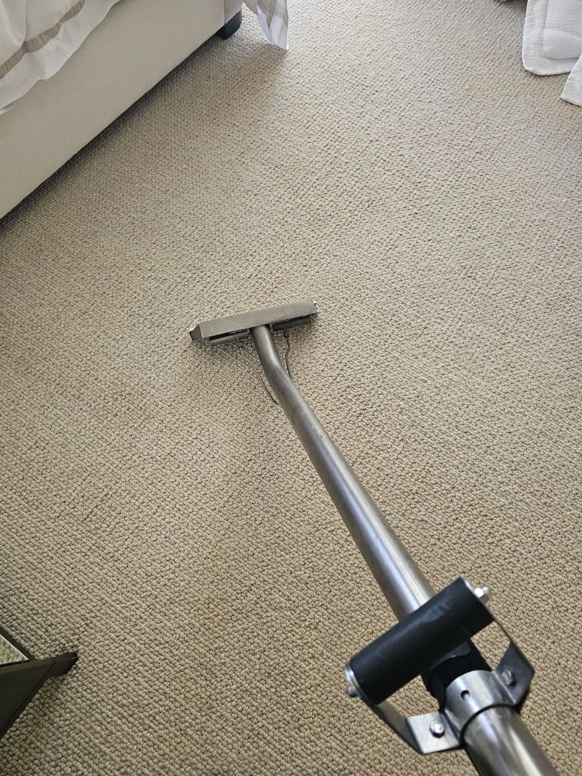 Eco-Friendly Carpet Cleaning in Los Gatos image