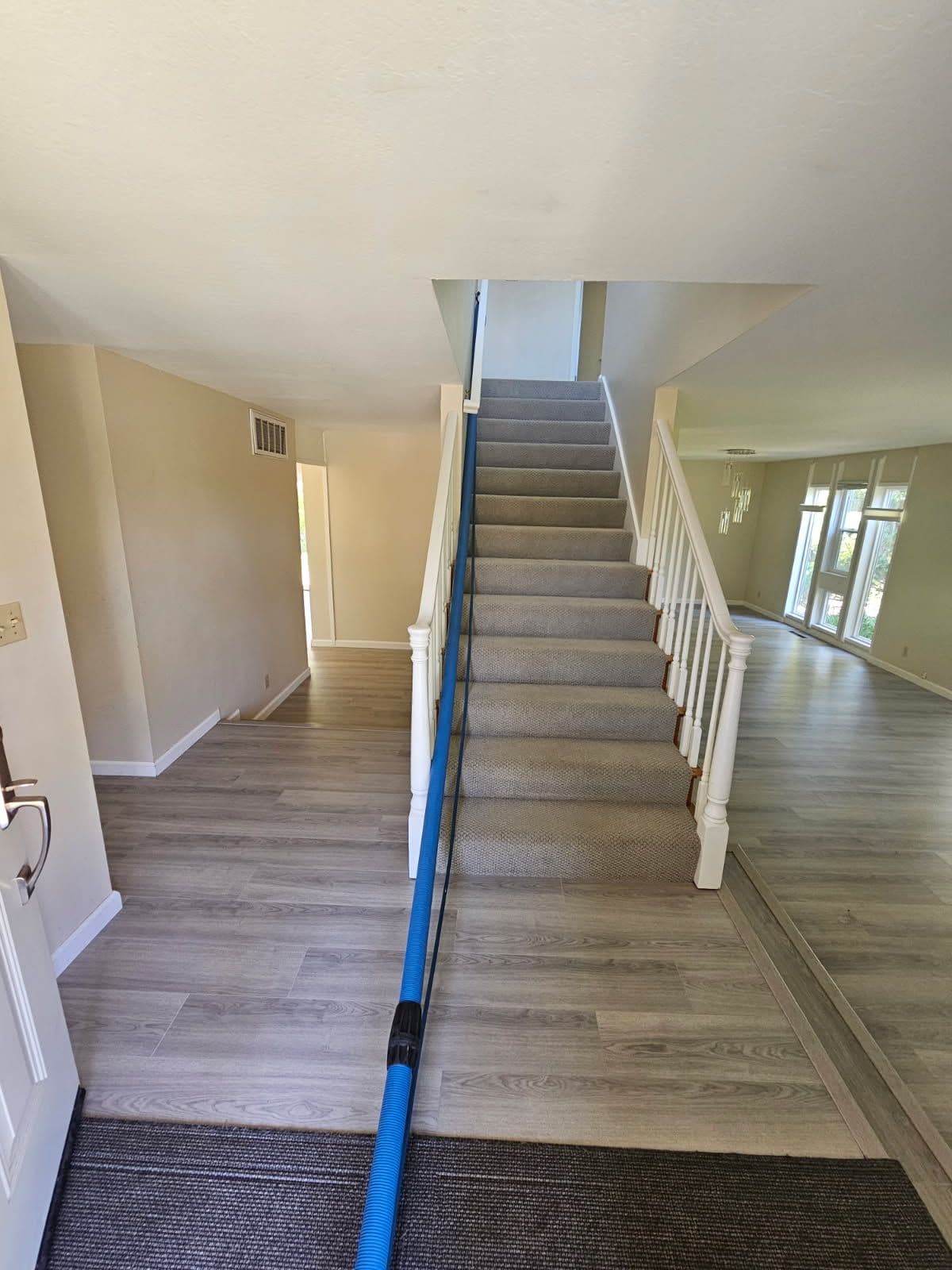 San Jose Home Revitalized with Expert Carpet Cleaning image