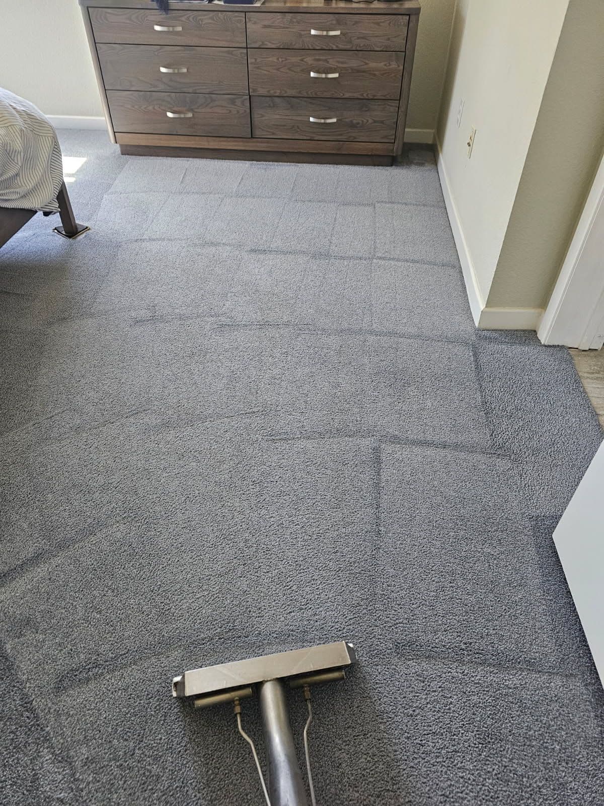 Project Revitalized Carpets Shine in San Jose image
